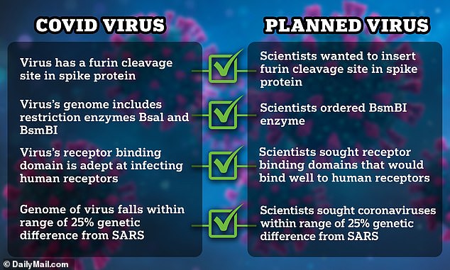 Alle vier Merkmale, die Wissenschaftler in einem Forschungsvorschlag aus dem Jahr 2018 in einem neuartigen Virus erzeugen wollten, stimmen mit den Merkmalen von SARS-CoV-2 überein, dem Virus, das Covid verursacht