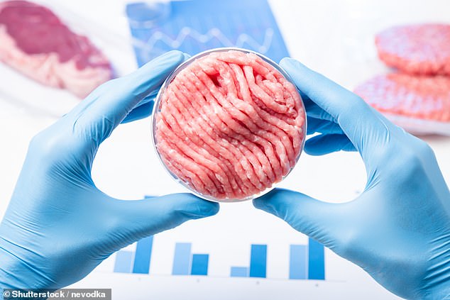 Während sich viele Tierhalter wahrscheinlich Sorgen um die Sicherheit von im Labor gezüchtetem Fleisch machen, versichert Meatly, dass sein Produkt sicher ist (Archivbild)