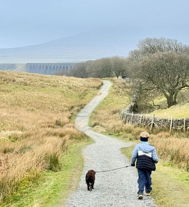 Arthur ist abgebildet, wie er mit dem Hund der Familie spazieren geht und aktualisiert regelmäßig sein Instagram, um seine Follower auf seine Reise mitzunehmen