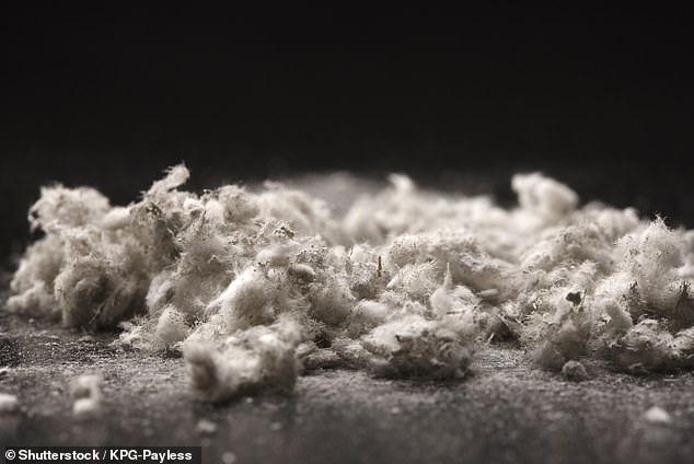 Unternehmen haben fünf Jahre Zeit, um Asbest aus der ersten Anlage zu entfernen, und bis zu 12 Jahre, um Asbest aus allen Anlagen zu entfernen