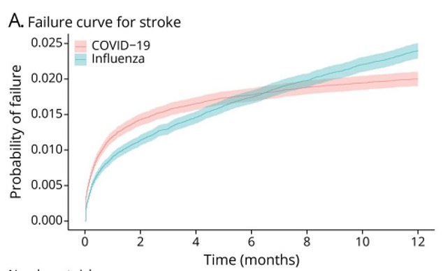 Die obige Grafik zeigt das Risiko, dass jemand einen Schlaganfall erleidet, nachdem er wegen einer Covid-Infektion (rosa Linie) oder einer Grippeinfektion (blaue Linie) ins Krankenhaus eingeliefert wurde, im Zeitverlauf