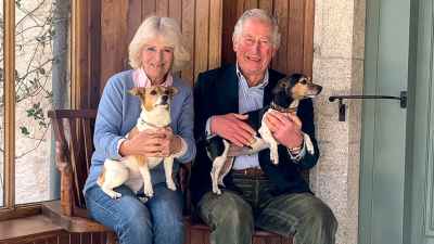 Zeitleiste der Beziehung zwischen Prinz Charles und Herzogin Camilla
