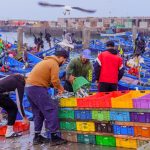 Top-Befürworter des Gerichts kritisiert EU-Marokko-Abkommen im Fischereibereich, verschont aber die Vorteile des Agrarhandels