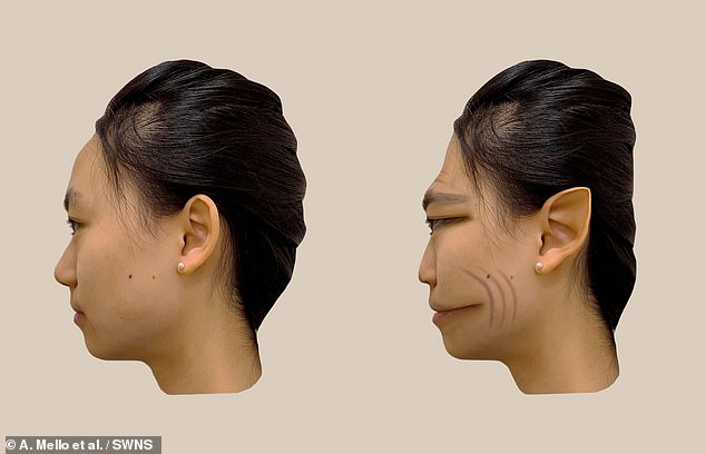 Die Forscher erhielten Echtzeit-Feedback des Patienten darüber, wie sich das Gesicht auf dem Bildschirm und das reale Gesicht vor ihm unterschieden, indem sie das Foto mithilfe einer Computersoftware an die vom Patienten wahrgenommenen Verzerrungen anpassten