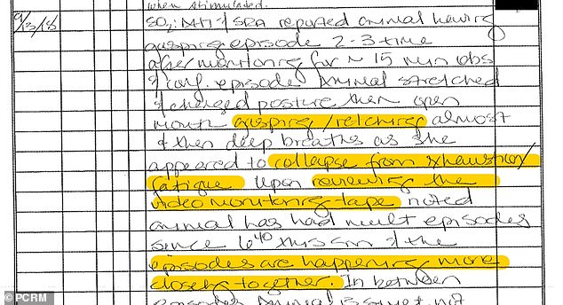 The lab notes obtained by PCRM explain that just two days after one surgery, a test monkey was 'repeatedly vomiting, gasping, retching and had very little interaction with environment / observers.' These allegations in lab notes appear to have been made by Neuralink staff