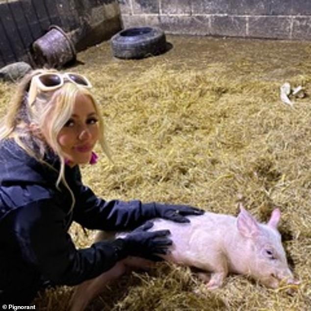 Tarion möchte Tierquälerei im Vereinigten Königreich aufdecken – ihr neuestes Projekt „Pignorant“ beschreibt detailliert die unmenschliche Art und Weise, wie Schweine geschlachtet werden