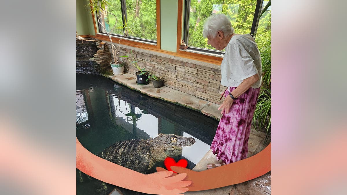 Albert der Alligator "liebt meine Mutter," sagte der Besitzer des Haustier-Alligators.