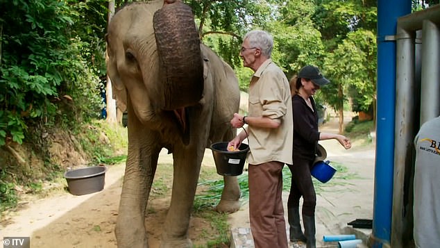 Sein letztes Fernsehprojekt war Paul O'Gradys Great Elephant Adventure, an dem er nur wenige Tage vor seinem Tod die Arbeit abschloss