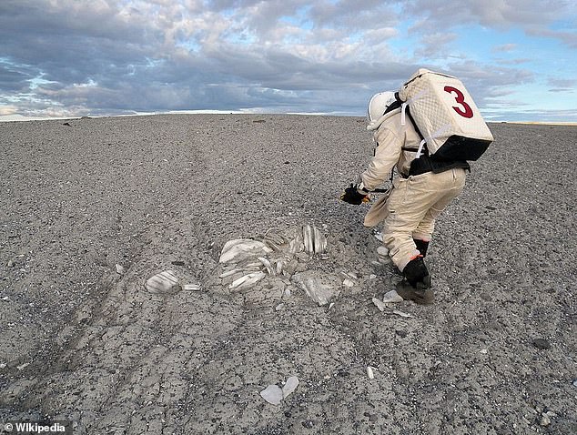 Ein Forscher führt eine Übung im Haughton-Krater auf der Insel Devon durch.  NASA-Techniker simulieren potenzielle Missionsnotfälle an dem verlassenen Ort