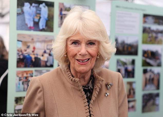 Queen Camilla smiles in Shrewsbury this afternoon during her visit to the farmers' market
