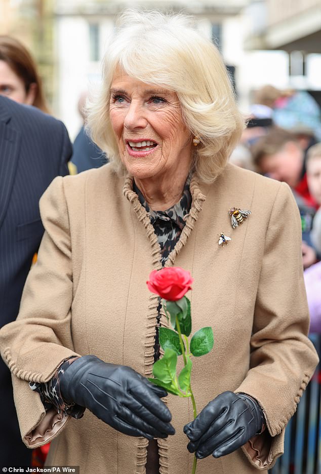 Queen Camilla smiles after receiving a red rose from Abi Crighton in Shrewsbury today