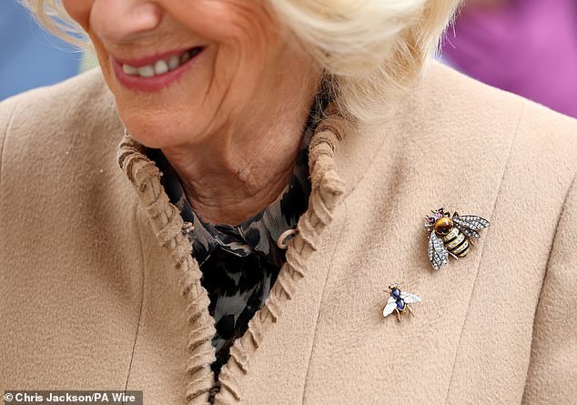 Brooches on Camilla's coat as she meets members of the Bee Keepers' Association today