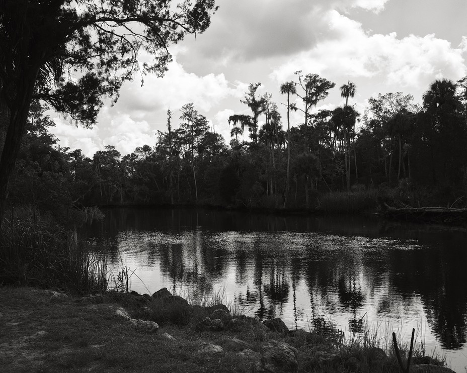Bild von Brackwasser in Otter Creek, Florida
