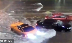Above, a yellow Lamborghini dives into Miami floodwaters during a 2020 incident captured by WSVN news