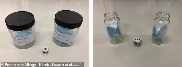 Oben: Gesichtsmasken mit entspannten und PTSD-beeinflussten menschlichen Gerüchen für zukünftige Tests in den Glasprobengefäßen (links) und Teile dieser Masken in Glasfläschchen für aktive Tests (rechts)