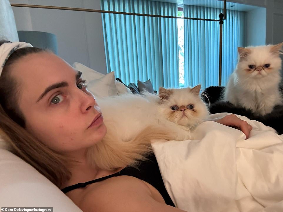 Auf einem aktuellen Schnappschuss ist Cara mit ihren beiden Katzen zu Hause zu sehen