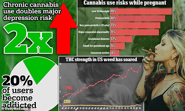 Marihuana gilt im Allgemeinen als Droge mit geringem Risiko, doch der regelmäßige Konsum kann eine Vielzahl von Gesundheitsrisiken mit sich bringen, darunter schwere Depressionen, Schlafstörungen und Abhängigkeit