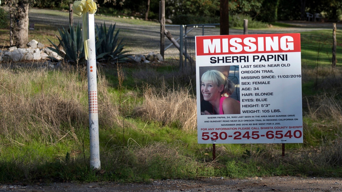 Sherri Papini-Plakat für vermisste Personen