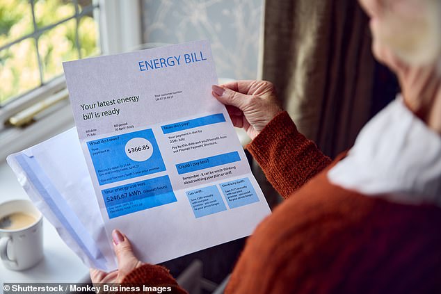 Aufs Ganze gehen: Aktivisten sagen, dass Energieunternehmen den Haushalten faktisch mehr verlangen, um unbezahlte Schulden von Haushalten einzutreiben, die es sich nicht leisten können, die enorm hohen Energierechnungen zu bezahlen