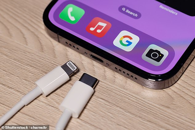 Apple war nicht erfreut, als es von der EU gezwungen wurde, seinen eigenen Lightning-Ladeanschluss (erkennbar an den acht Pins) aufzugeben und ihn durch USB-C zu ersetzen
