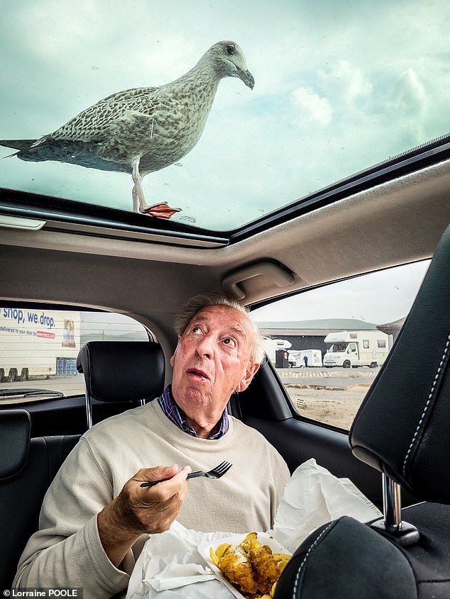 Dieses Porträtbild mit dem Titel „My Dad and the Greedy Gull“, aufgenommen in Girvan, Ayrshire, Schottland, wurde auf einem Samsung Galaxy G20 5G von Lorraine Poole aufgenommen, die sagte: „Wir saßen in meinem Auto und aßen Fish and Chips zum Mittagessen, als ich …“ bemerkte eine riesige, große, gierige Möwe, die durch das Schiebedach auf meinen Vater spähte.