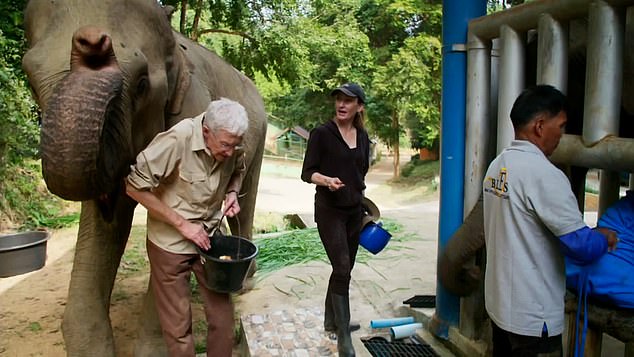 Ein Teaser-Clip für die Serie zeigt, wie Paul einen Schlag von einem Elefanten namens Lotus erhält, als er sich zu ihr umdreht, um sich dafür zu entschuldigen, dass sie ihr nicht genug Aufmerksamkeit geschenkt hat