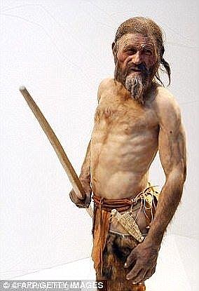 Seit seiner Entdeckung am 19. Dezember 1991 durch deutsche Wanderer bietet Ötzi (künstlerische Darstellung) einen Einblick in die frühe Menschheitsgeschichte.