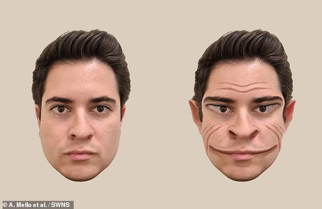 Die Bilder wurden vom Dartmouth College anhand eines 58-jährigen Mannes mit Prosopometamorphopsie (PMO) erstellt.  Er sieht Gesichter ohne jegliche Verzerrung, wenn sie auf einem Bildschirm und auf Papier betrachtet werden, aber er sieht verzerrte Gesichter, die „dämonisch“ wirken, wenn man sie persönlich betrachtet