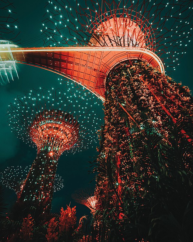 In einer Studie des Singapore Tourism Board glaubten 60 Prozent der Menschen, denen dieses beeindruckende Bild der Gardens by the Bay-Strukturen mit 1,5 Millionen Pflanzen gezeigt wurde, dass das Bild von KI erstellt wurde, obwohl es sich um ein echtes, in Singapur aufgenommenes Bild handelte