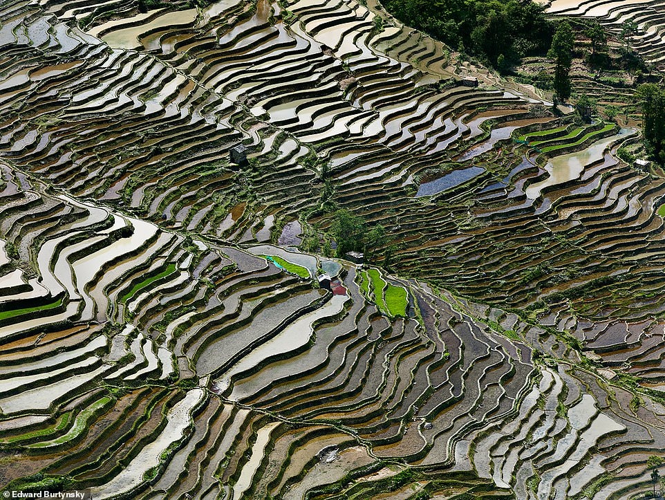 RICE TERRACES, WESTERN YUNNAN PROVINCE, CHINA, 2012: 'This sustainable farming method has been practised in China for over a thousand years,' the book reveals. 'If done properly, it prevents erosion, retains moisture, and can support the biodiversity that keeps soils naturally fertile'