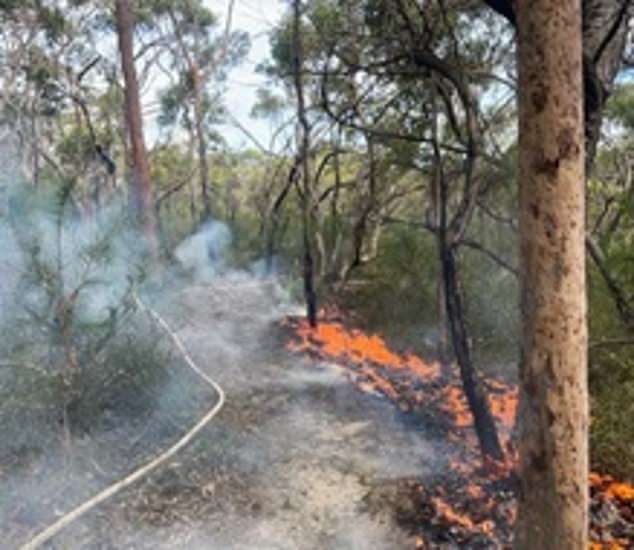 Im Kur-ring-gai-Chase-Nationalpark und in Katoomba werden derzeit zwei Gefahrenminderungsmaßnahmen durchgeführt.