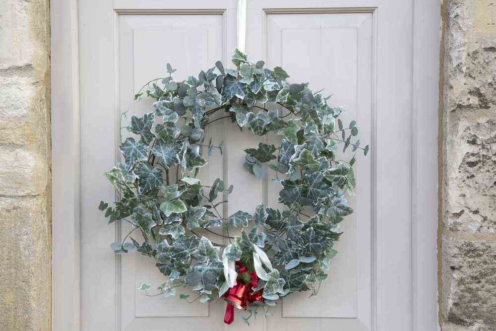 Ivy Christmas Wreath 