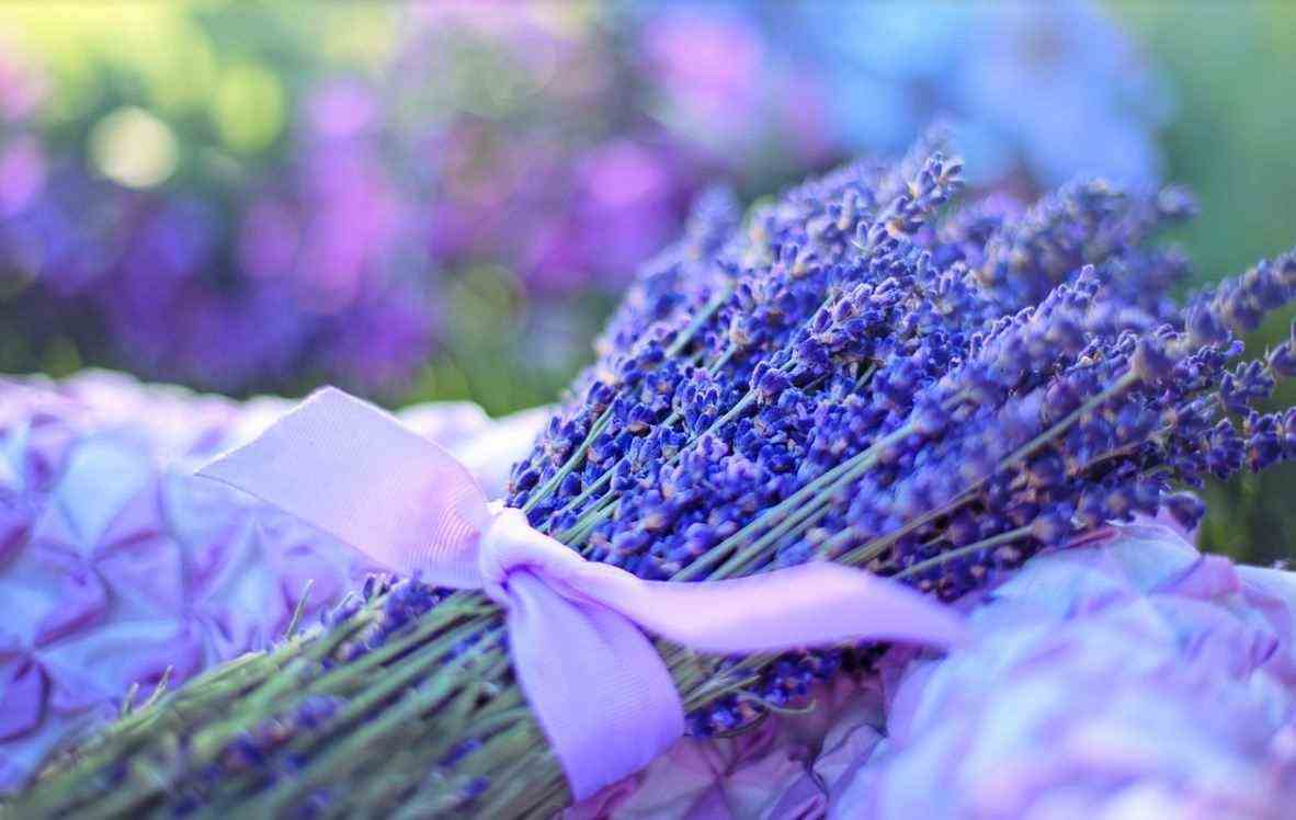 Lavender Bouquet 