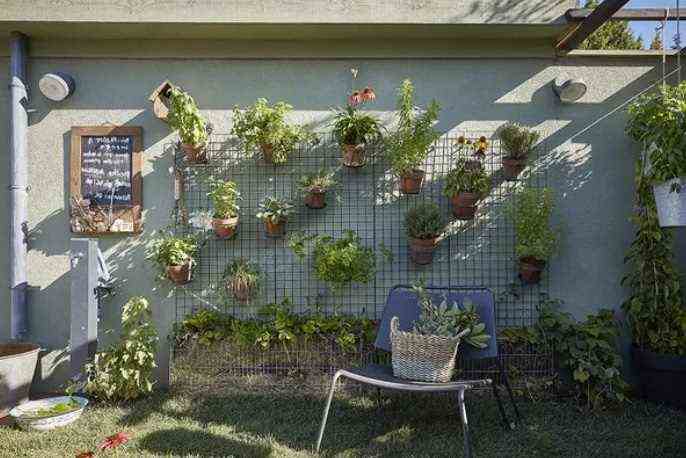   A Trellis That Welcomes Potted Plants And Strawberries