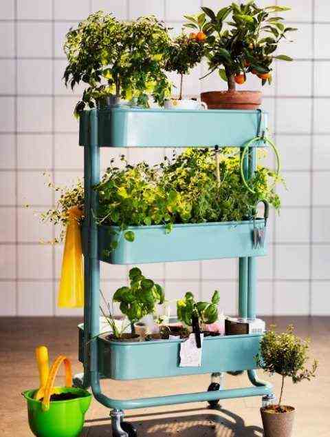 Improvising Your Vertical Vegetable Garden Indoors As Outdoors