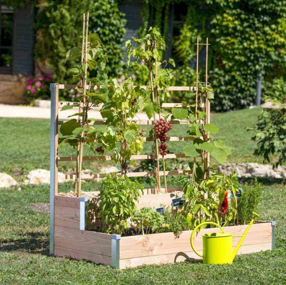 A Vertical Vegetable Garden