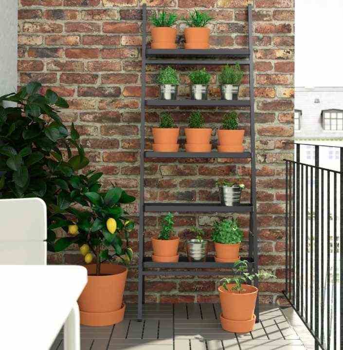 Salladskal For A Vertical Vegetable Garden On Your Balcony