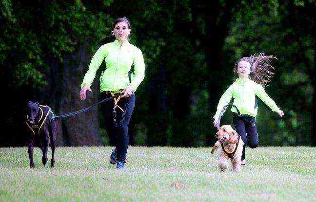 Canicross can be practiced very young with, necessarily, a dog adapted to the child.
