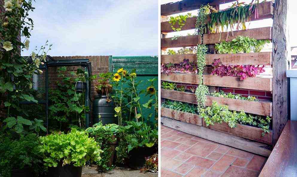 Vertical vegetable garden