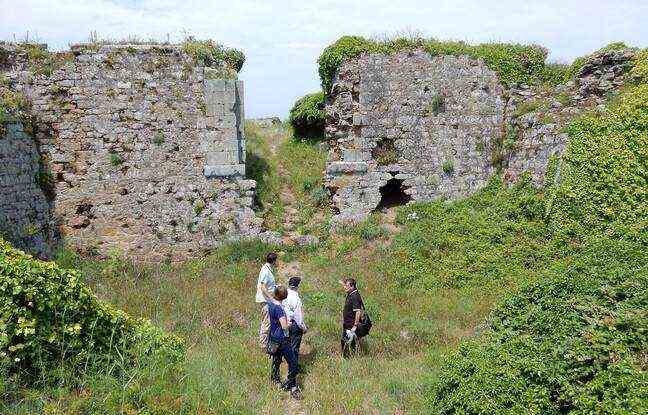The Coastal Conservatory project aims to restore Fort d'Arboulé, which is falling into ruins. 