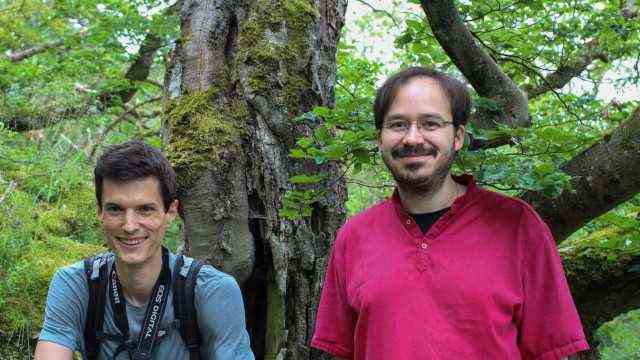 Global warming: Stefan Wötzel and Marco Thines from the Biodiversity and Climate Research Center of the Senckenberg Society for Nature Research in Frankfurt.