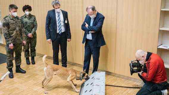 A German shepherd sniffs a training machine for corona detection dogs.  Behind it stands, among others, Lower Saxony's Prime Minister Stephan Weil (SPD).  © picture-alliance / dpa Photo: Ole Spata