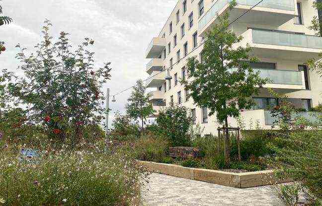 The Ginko eco-district has been designed with shared terraces in each island, on which children can play; 