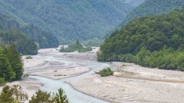 River Tagliamento, Trentino-Alto Adige, Italy.  (Richard Semik)