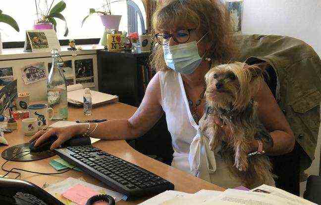 Martine Villalta comes to work at the town hall of Grenoble with her dog Isha.