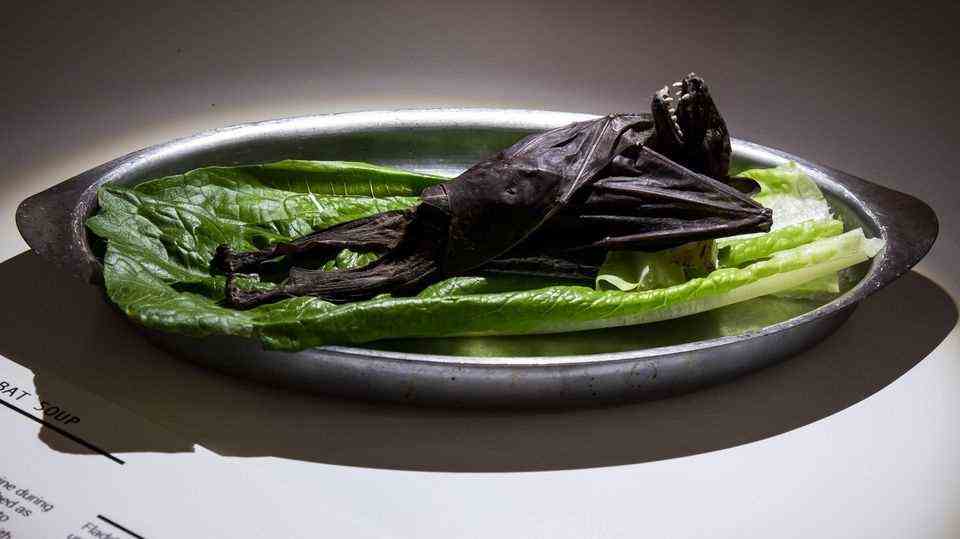 "The Disgusting Food Museum": Bat