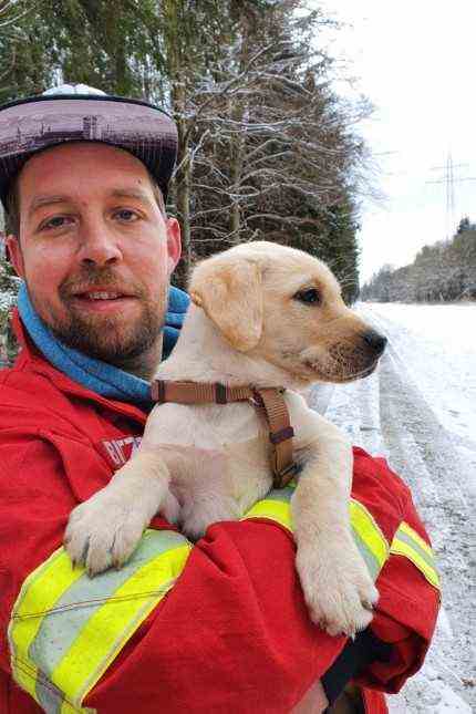 Rescued girl: Andreas Bitzer led the rescue dog squadron of the Aschheim fire brigade in the search for the missing Julia in the Bavarian Forest.  Our picture shows him with his dog Archie, who is currently being trained.