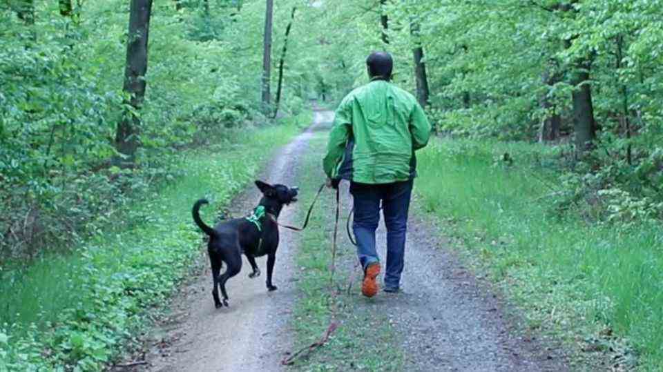 Zoophilie: Torben liebt seinen Hund, aber ist es wirklich Liebe?