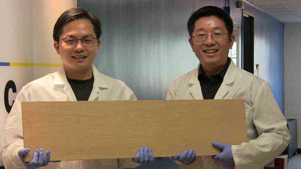 Renewable raw materials: Super wood - this board is stronger than steel