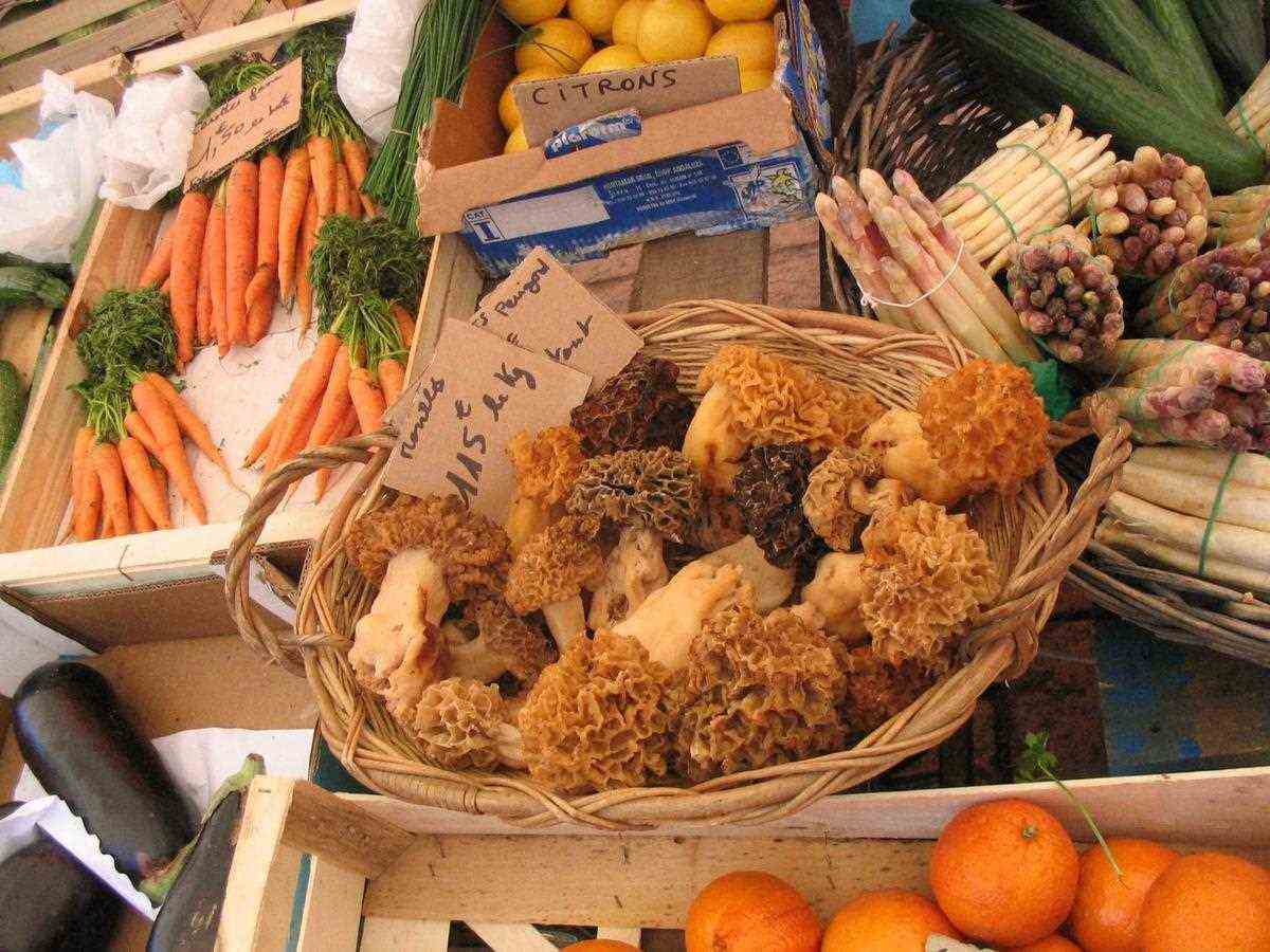 A basket of edible morels on the Sarlat market.